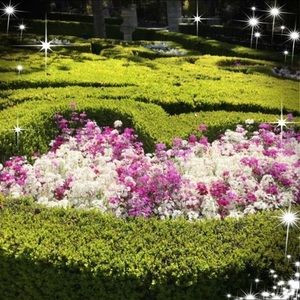 Meet your Posher, Sibon